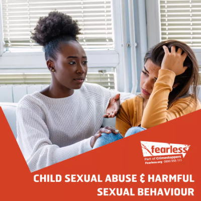 CHILD SEXUAL ABUSE & HARMFUL SEXUAL BEHAVIOUR   3